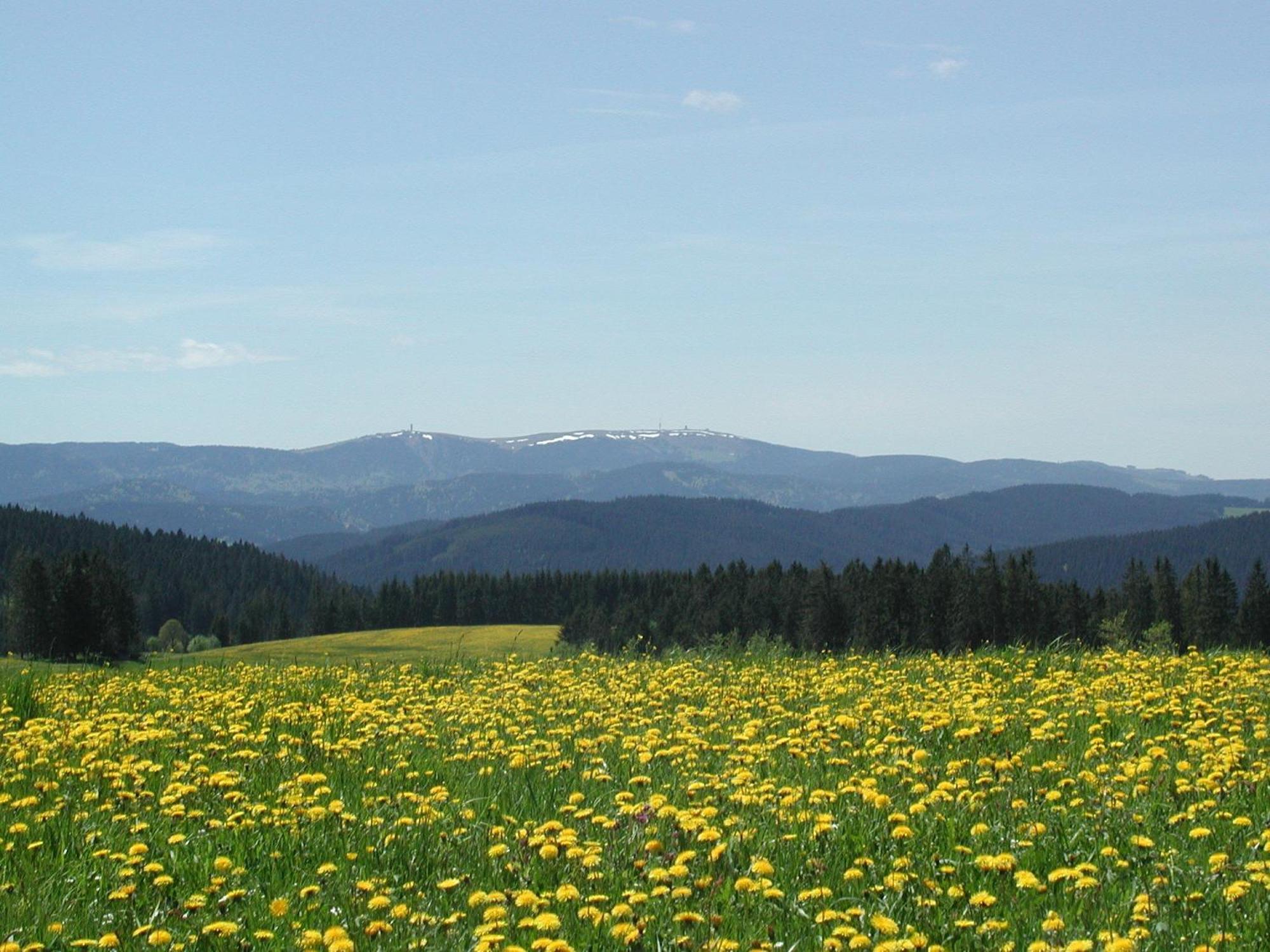 Cafe-Pension Feldbergblick Titisee-Neustadt Ngoại thất bức ảnh