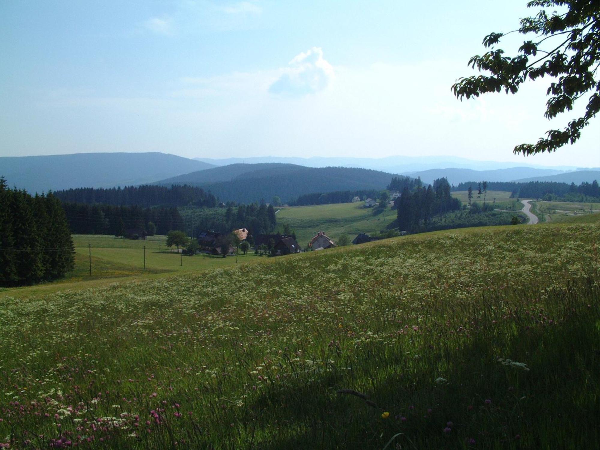 Cafe-Pension Feldbergblick Titisee-Neustadt Ngoại thất bức ảnh