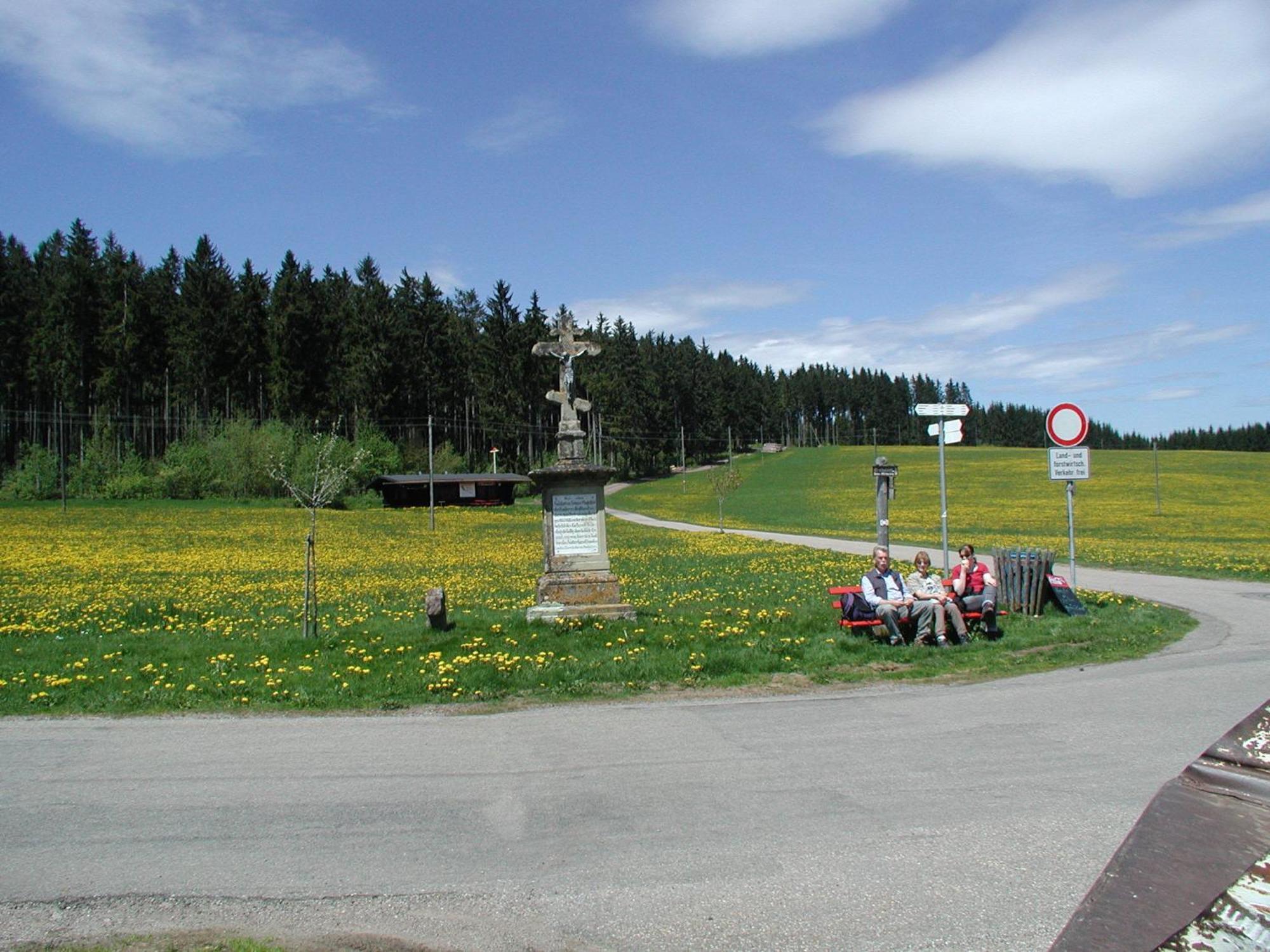 Cafe-Pension Feldbergblick Titisee-Neustadt Ngoại thất bức ảnh