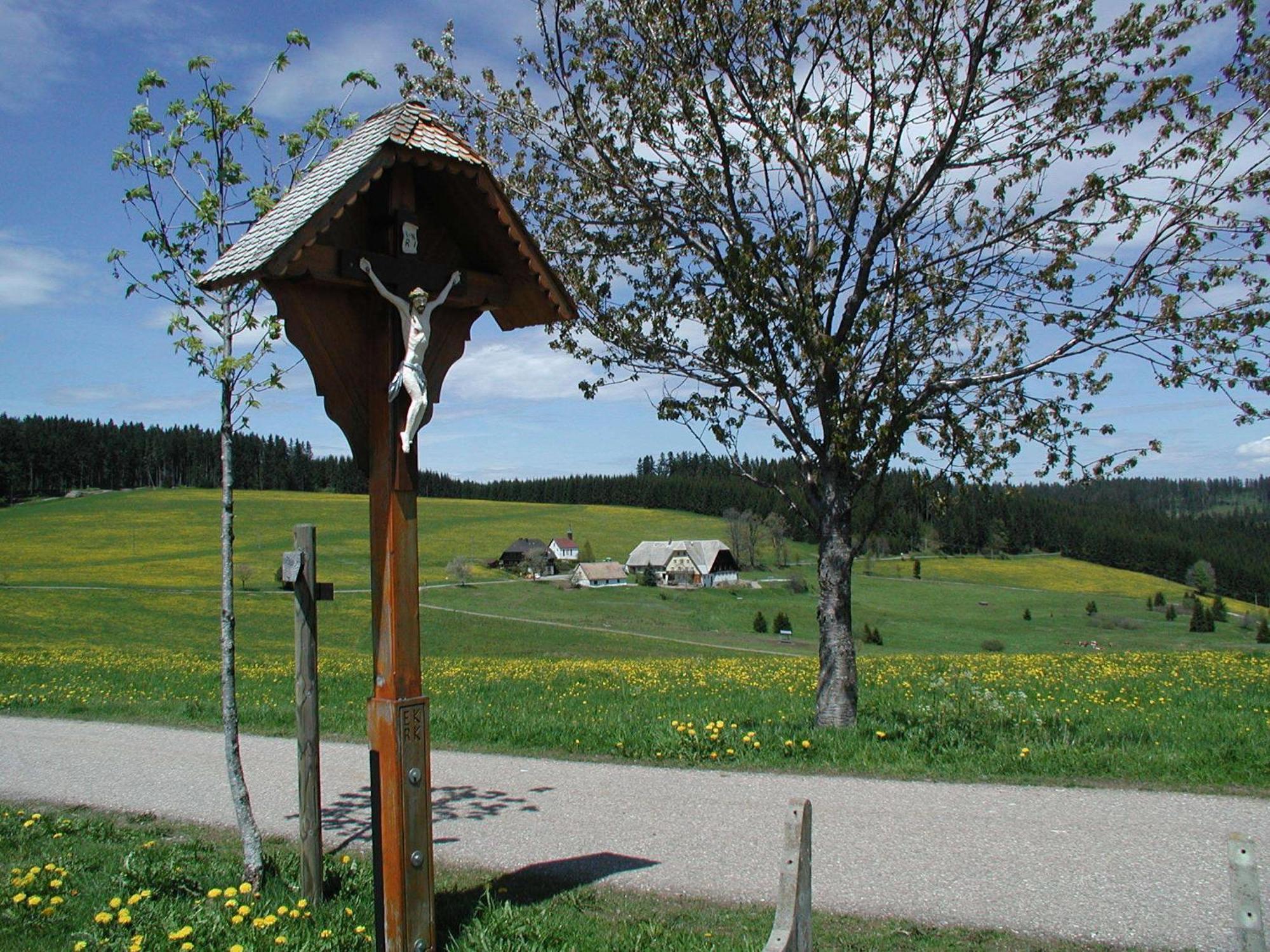 Cafe-Pension Feldbergblick Titisee-Neustadt Ngoại thất bức ảnh